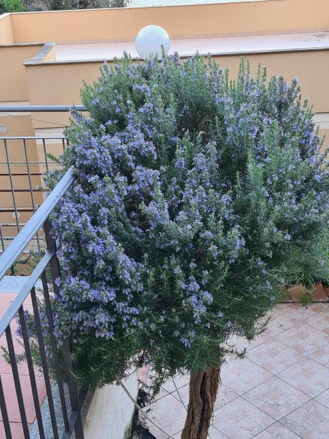 Il Rosmarino Apartment Taormina Buitenkant foto